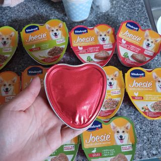 비타크래프트 조에시 하트캔 85g 강아지 습식캔 10캔 — 5점을 준 리뷰어가 2021년 10월 올린 사용 사진