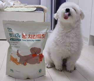 [펫시밀] 원물그대로 영양듬뿍 동결건조 왕북어트릿300g,왕치킨트릿400g,열빙어트릿300g 대용량 간식 — 5점을 준 리뷰어가 2023년 5월 올린 사용 사진