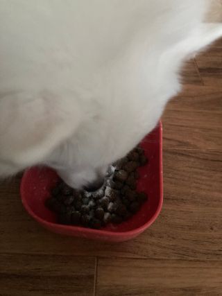 민트초코님이 올린 리뷰 사진 2
