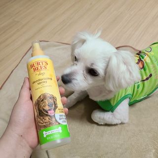 슝늉님이 올린 리뷰 사진 3