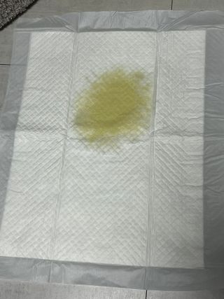 여름님이 올린 리뷰 사진 3