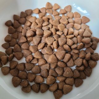 LunaHayes님이 올린 리뷰 사진 1