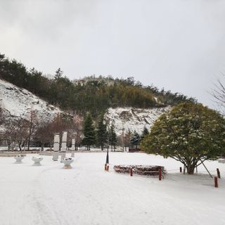 mrs곰순이님이 올린 리뷰 사진 3