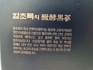 물결님이 올린 리뷰 사진 3