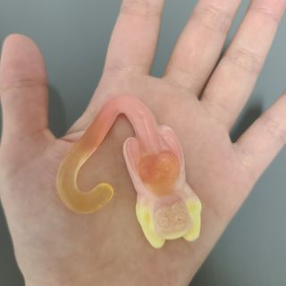 J.영원한별님이 올린 리뷰 사진 3