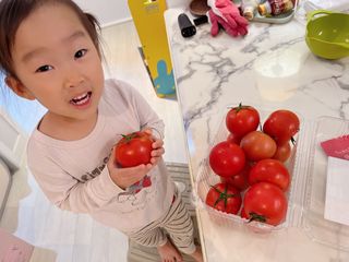 레드닥터 완숙토마토 + 통째로 동결건조한 대추방울토마토 — 4.5점을 준 리뷰어가 2022년 11월 올린 사용 사진