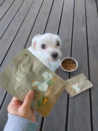 도그퓨어 푸드닭 강아지 닭고기 통살 애견간식 오리지널/차전자피/초록입홍합 — 5점을 준 리뷰어가 2021년 11월 올린 사용 사진