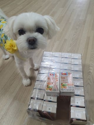 뽀오오옹님이 올린 리뷰 사진 2