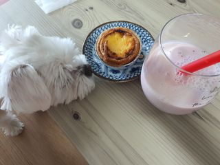 디앙뜨 포르투갈 에그타르트 오리지널 맛+패션후르츠+초콜릿타르트 맛 중 택1 — 4.5점을 준 리뷰어가 2021년 8월 올린 사용 사진