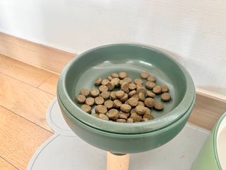 캐닌캐비어 알카라인 홀리스틱 그레이프리 앙뜨레 ALS_4종 오픈스카이, 와일드오션, 프리스피릿, 스페셜니즈 — 5점을 준 리뷰어가 2023년 4월 올린 사용 사진