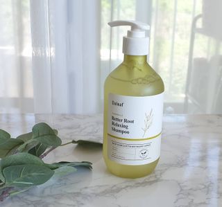 달리프 클로렐라 베러 루트 릴렉싱 샴푸 500ml — 5점을 준 리뷰어가 2021년 5월 올린 사용 사진