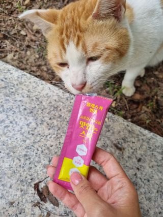 페페로니 맛있는 스틱 - 무항생제 닭고기 15개 + 알래스카 연어 15개 — 5점을 준 리뷰어가 2021년 10월 올린 사용 사진