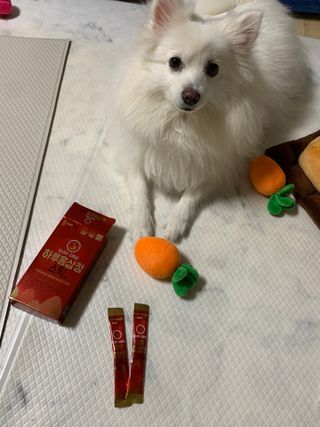 힘내라김홍삼 하루홍삼정스틱 10g x 10포 — 5점을 준 리뷰어가 2021년 5월 올린 사용 사진