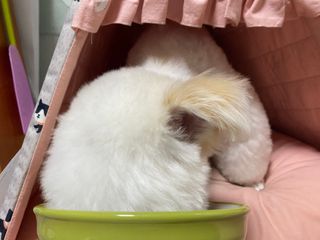 징쥬님이 올린 리뷰 사진 2