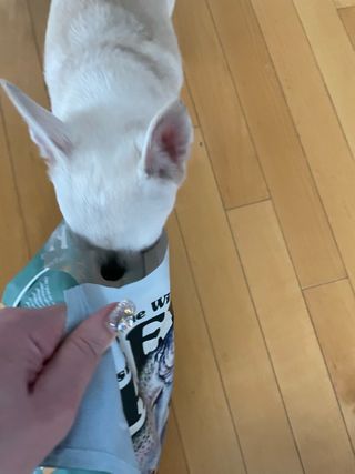 uc9v0shedk님이 올린 리뷰 사진 3