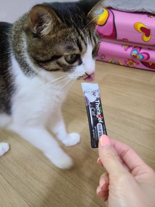 글라라5205님이 올린 리뷰 사진 2