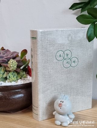 동그리동동님이 올린 리뷰 사진 4