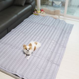 달슈님이 올린 리뷰 사진 4