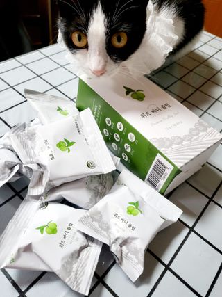 LEo님이 올린 리뷰 사진 2