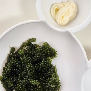 [피터씨마켓] 바다포도 100g(20g x 5봉) 우미부도 그린캐비어 ASMR 소분포장 — 5점을 준 리뷰어가 2024년 8월 올린 사용 사진