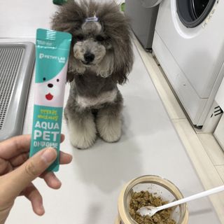 펫시랩 반려견용 액상 프리바이오틱스 아쿠아펫 — 5점을 준 리뷰어가 2021년 1월 올린 사용 사진