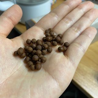 체리보이님이 올린 리뷰 사진 4