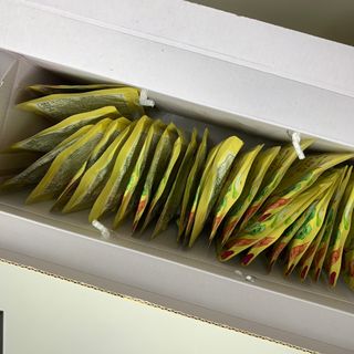 곰순이네님이 올린 리뷰 사진 4