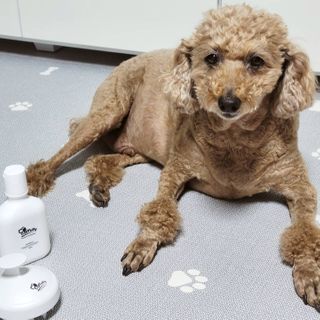 니니님이 올린 리뷰 사진 1