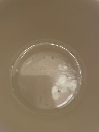 몽베스트 Montbest with Sparkling water Lemon OR Lime 20병(랜덤) — 5점을 준 리뷰어가 2022년 8월 올린 사용 사진