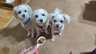 공팔리터님이 올린 리뷰 사진 3