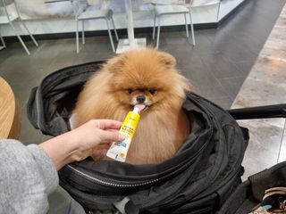 아롱이님이 올린 리뷰 사진 3