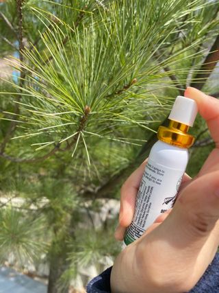플랜토닌 프로폴리스 인후 스프레이 20ml — 5점을 준 리뷰어가 2023년 3월 올린 사용 사진
