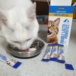 씨디랩 장 건강과 구강 건강을 한 번에 더블락토 강아지 고양이 유산균 — 5점을 준 리뷰어가 2021년 1월 올린 사용 사진