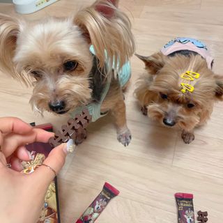 오렌지실버님이 올린 리뷰 사진 1