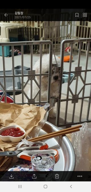 비타크래프트 조에시 하트캔 85g 강아지 습식캔 10캔 — 5점을 준 리뷰어가 2021년 8월 올린 사용 사진