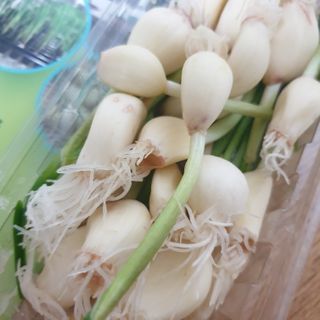 Rooloo님이 올린 리뷰 사진 2