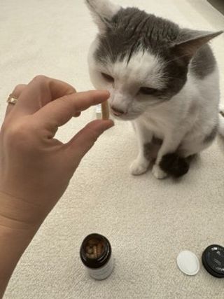 yyyy님이 올린 리뷰 사진 3