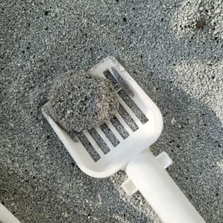 수경이야님이 올린 리뷰 사진 4