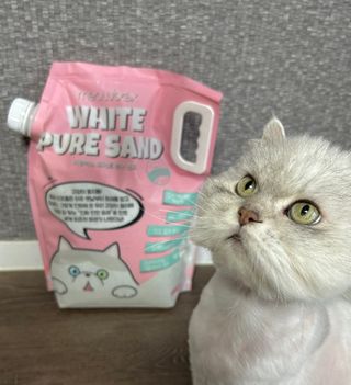 [미유박스] 화이트 퓨어 샌드 6kg — 5점을 준 리뷰어가 2024년 6월 올린 사용 사진