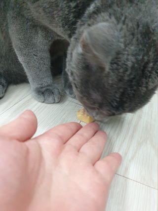 이승진님이 올린 리뷰 사진 3