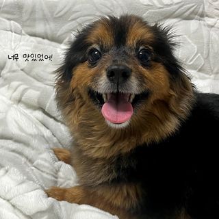 온리님이 올린 리뷰 사진 4
