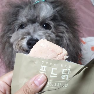 도그퓨어 푸드닭 강아지 닭고기 통살 애견간식 오리지널/차전자피/초록입홍합 — 5점을 준 리뷰어가 2021년 11월 올린 사용 사진