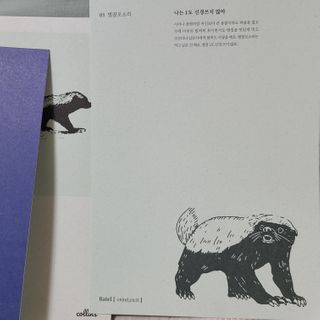 뽀용이님이 올린 리뷰 사진 4