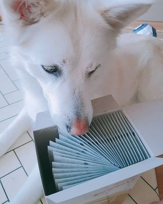 딸랑구둘🥰님이 올린 리뷰 사진 2