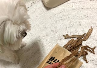 [보헤리] 국내산 강아지 육포간식 바삭 64 2종 — 5점을 준 리뷰어가 2022년 3월 올린 사용 사진