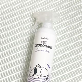 꿀냥이님이 올린 리뷰 사진 4