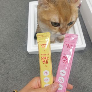 페페로니 잘 먹는 캣츄 - 무항생제 닭고기 12개 + 알래스카 연어 12개 — 5점을 준 리뷰어가 2021년 7월 올린 사용 사진