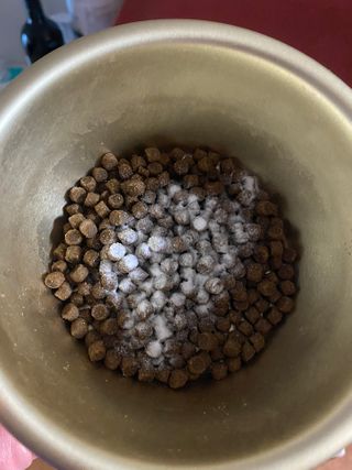 My Pet Care 장건강에 개좋아 — 4점을 준 리뷰어가 2021년 2월 올린 사용 사진