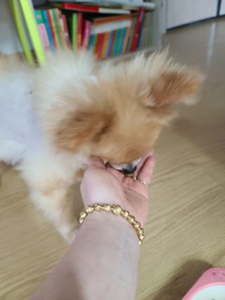 다솜이마마님이 올린 리뷰 사진 3