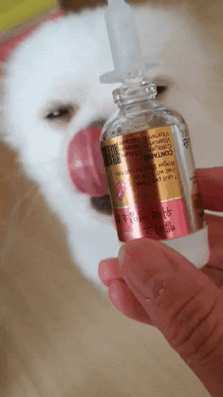 무지조타 반려동물용 꽃으로만든영양제 헬리코디펜스 15ml — 5점을 준 리뷰어가 2021년 8월 올린 사용 사진